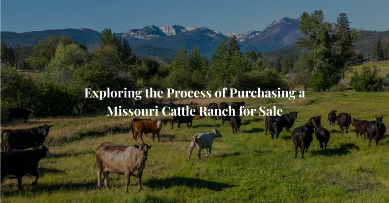 Exploring the Process of Purchasing a Missouri Cattle Ranch for Sale