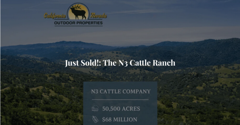 Just Sold!: The N3 Cattle Ranch 