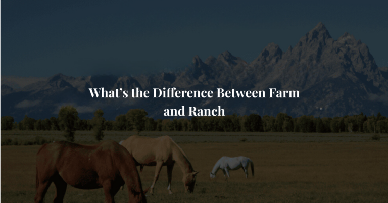 What’s the Difference Between Farm and Ranch
