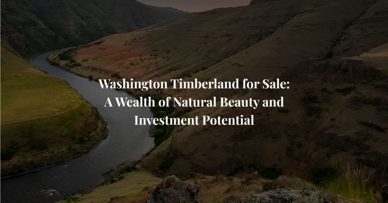 Washington Timberland for Sale: A Wealth of Natural Beauty and Investment Potential