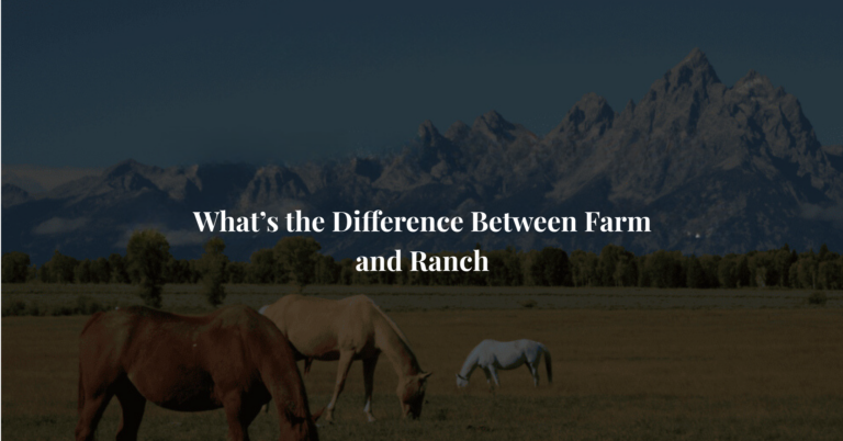 What’s the Difference Between Farm and Ranch?