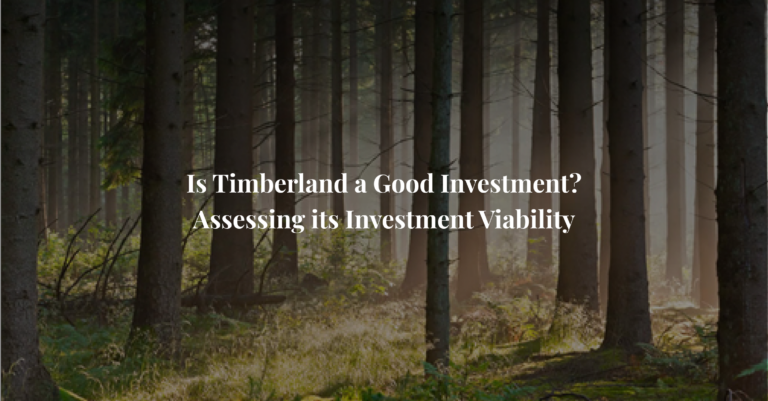 Is Timberland a Good Investment? Assessing its Investment Viability