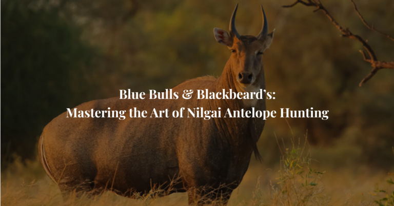 Blue Bulls & Blackbeard’s: Mastering the Art of Nilgai Antelope Hunting