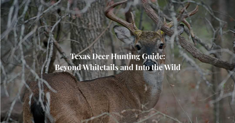 Texas Deer Hunting Guide: Beyond Whitetails and Into the Wild
