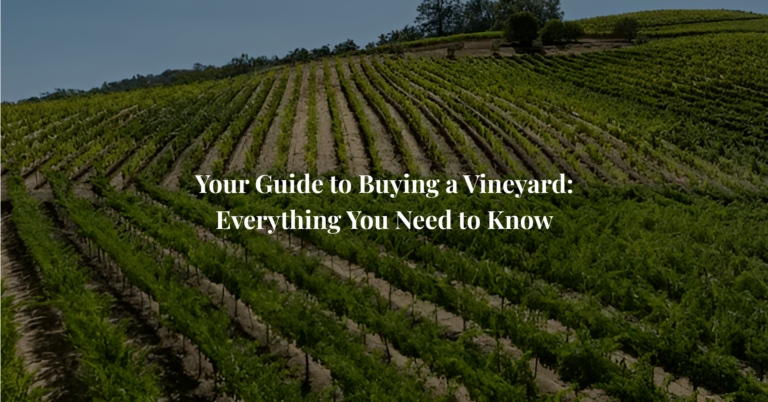 Your Guide to Buying a Vineyard: Everything You Need to Know