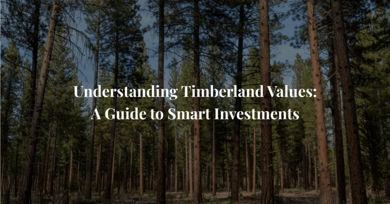 Understanding Timberland Values: A Guide to Smart Investments